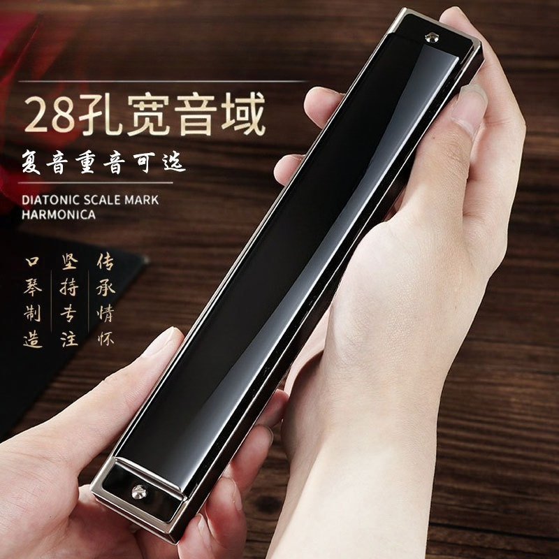 Harmonica 10 Hole - Harmonica polyphonique 24 et 28 trous,