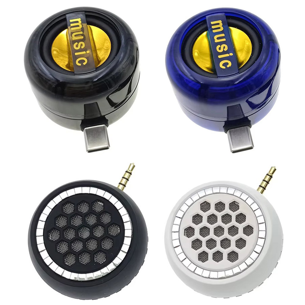 Portable Amplifier Mini - Mini haut-parleur portable universel avec prise