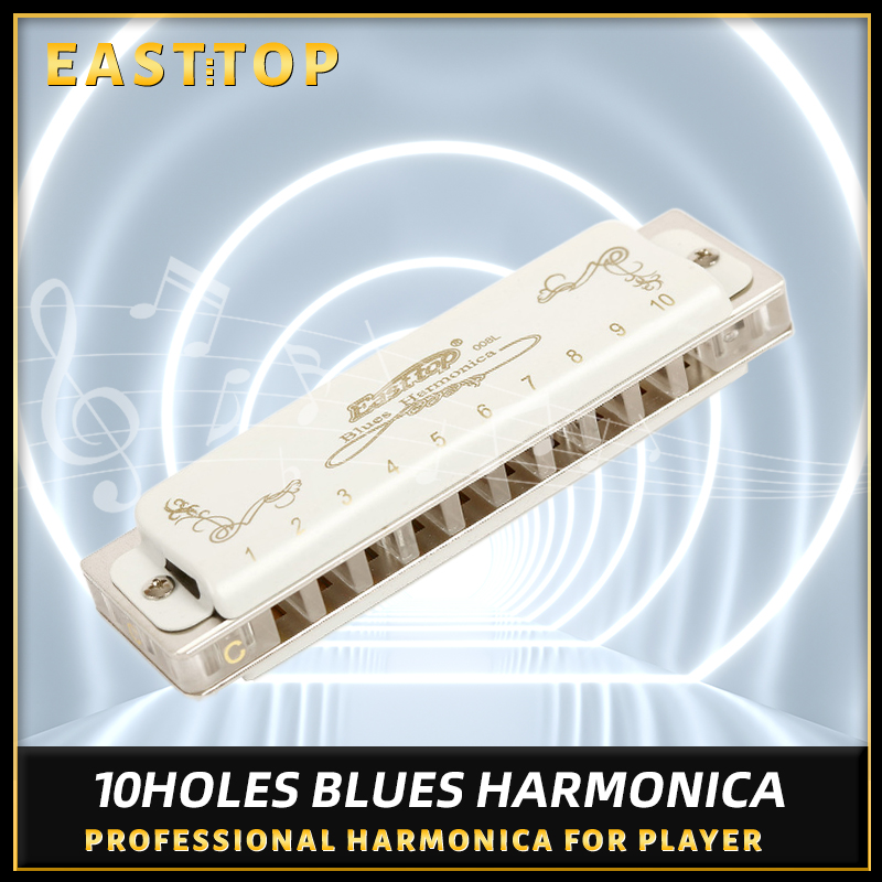 Harmonica 10 Hole - Harmonica diatonique à 10 trous pour