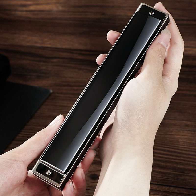 Harmonica polyphonique 24 et 2 - Harmonica 10 Hole avis et prix