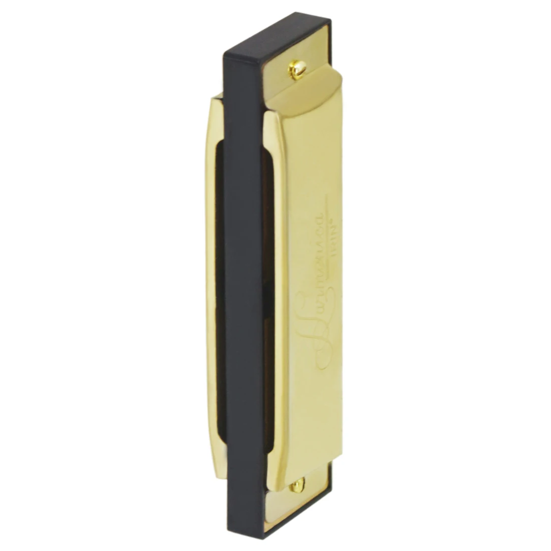 IRIN Harmonica 10 trous 20 ton - Harmonica 10 Hole avis et prix