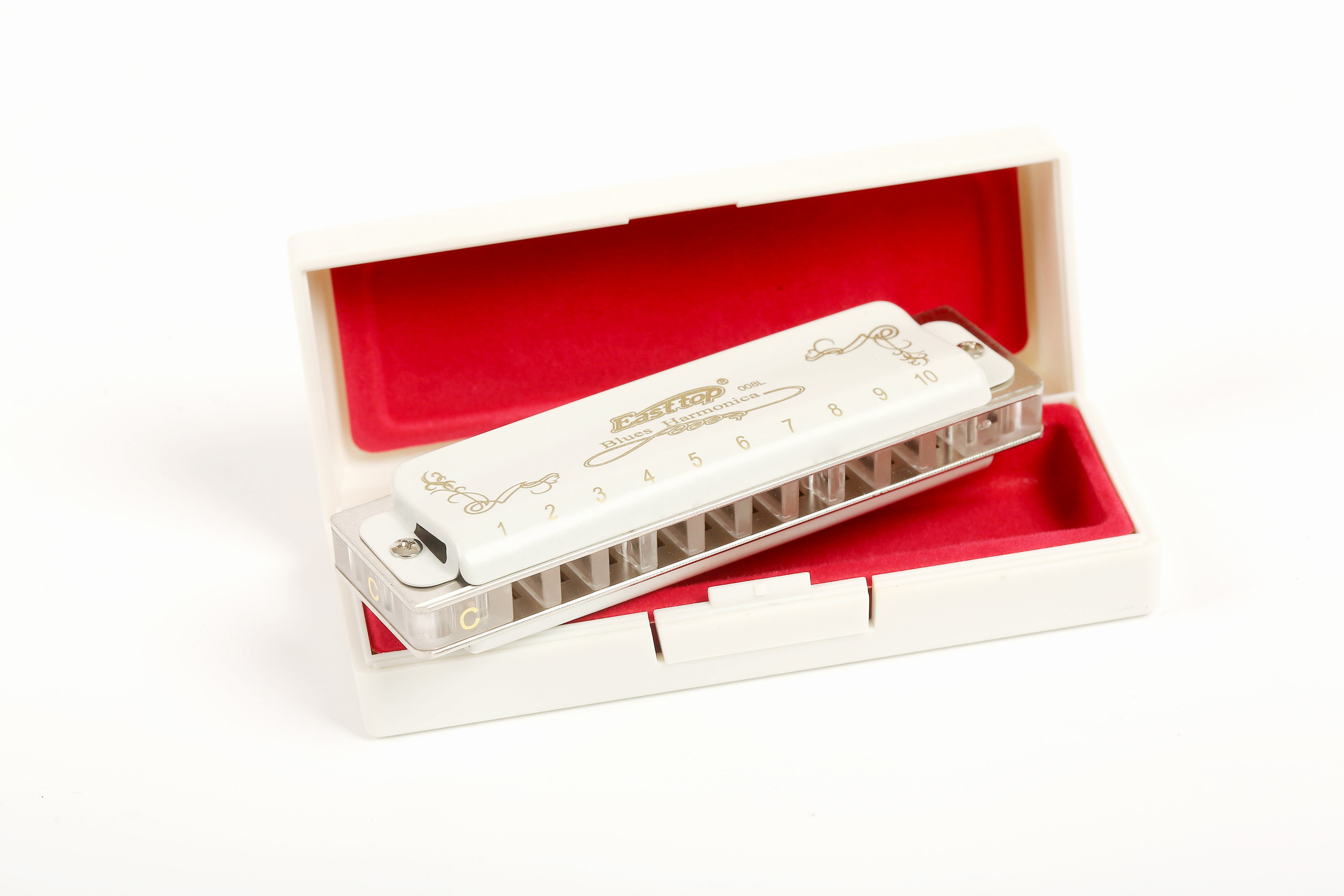 Harmonica diatonique à 10 trou - Harmonica 10 Hole avis et prix
