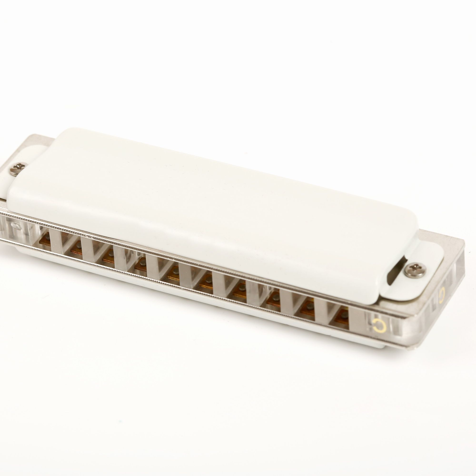 Harmonica diatonique à 10 trou - Harmonica 10 Hole avis et prix