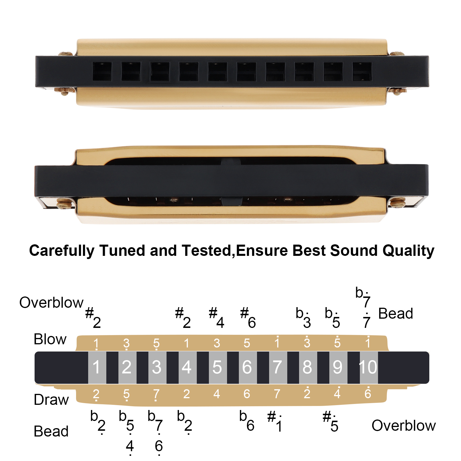 Silver / Gold KeyC 10 trous 20 - Harmonica 10 Hole avis et prix