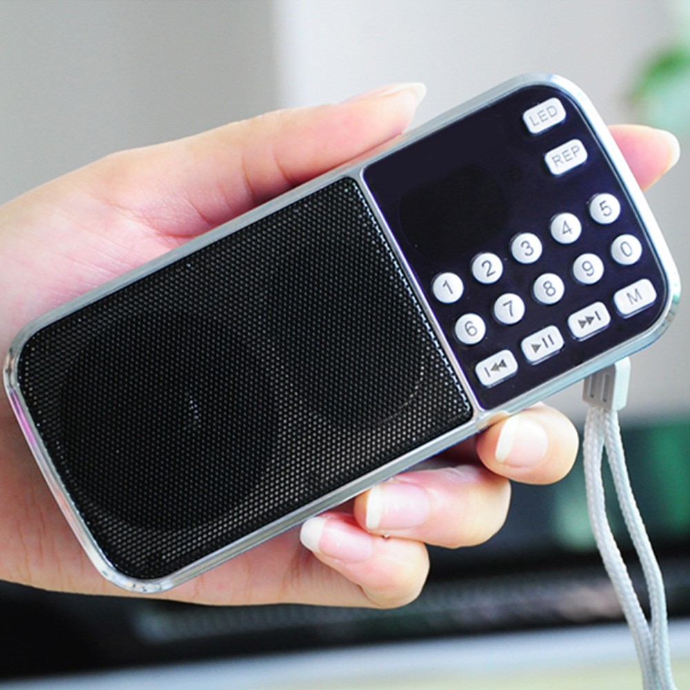 L-088 Portable HIFI Mini Haut- - Portable Amplifier Mini avis et prix